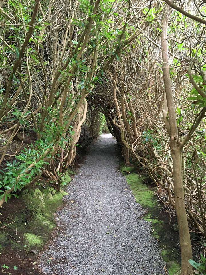 Carrig Country House & Restaurant Killorglin Commodités photo